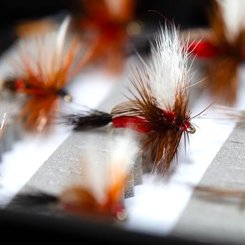 24/36/50/66 Premium Hand Tied Fly Fishing Flies Assortment | Waterproof Fly Boxes | Dry, Wet, Nymphs, Streamers, Wooly Buggers, Terrestrials | Trout, Bass Lure Set, Kit, Gift - Image 3