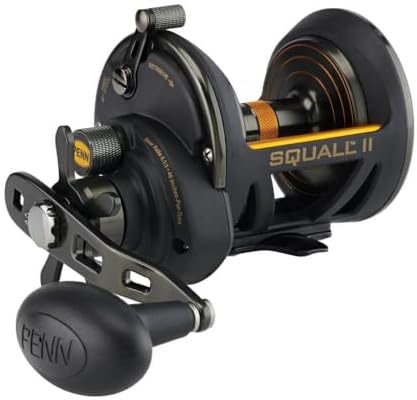 Penn Fathom II Star Drag Conventional Fishing Reel, Black Gold, 25N by Unknown