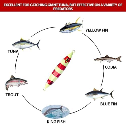 Tuna Jig, 6.5 Inches, 500g, 3 Pcs Rainbow Zebra Glow Color, Unrigged - Image 5
