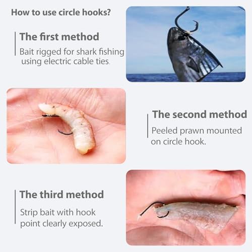 Catfishing Circle Hooks-Octopus Fishing Circle Hook for Catfish 50/100 Pack - Image 4