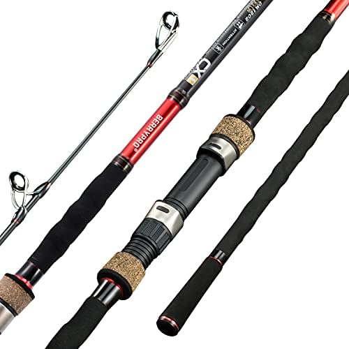 Berrypro Surf Spinning Rod Full Carbon Surf Fishing Rod Medium Action Surf Rod by BERRYPRO