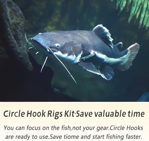 Fishing Hook Rigs 25/50 Pack - Circle Hook 1/0-10/0 with Stainless Steel Leader, Crane Swivel - Heavy Duty Saltwater Rigs for Catfish, Shark, Surf & Bottom Fishing - Image 6
