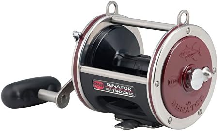 Penn Special Senator Star Drag Conventional Fishing Reel - Image 2