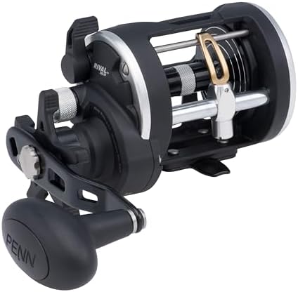 PENN Rival Level Wind Conventional Fishing Reel by Unknown