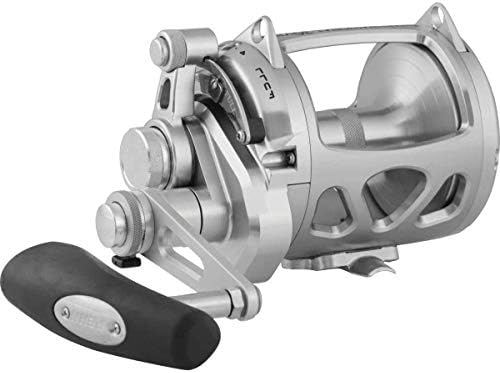 Penn International VIS 2 Speed Reel, Silver, 30 by Unknown