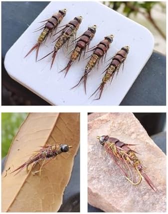Pack of 10 Nymph stonefly Fly Flies Trout Fishing Artificial Insect Fishing Bait Lure - Image 4