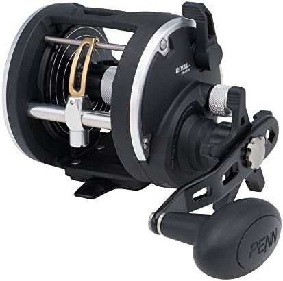 PENN Rival Level Wind Conventional Fishing Reel - Image 2
