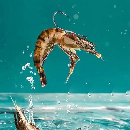 Live Shrimp Hook Set,Carbon Steel Barbed Fishing Hooks Freshwater Saltwater,Shrimp Lure,Bass Carp Catfish Bait - Image 6