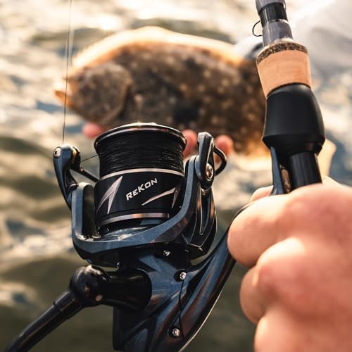 KastKing ReKon Saltwater Spinning Fishing Reel – Powerful for Big Game - Image 2