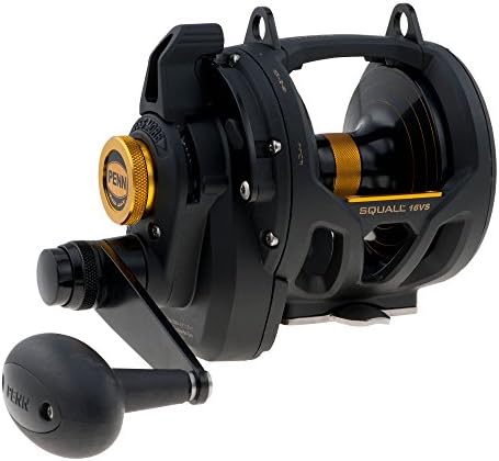 Penn Squall II Lever Drag 2 Speed Conventional Fishing Reel by Unknown