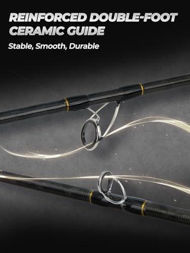 Jenseits Fishing Rods, Fishing Pole & Reel Combos for Freshwater Fishing - Image 4