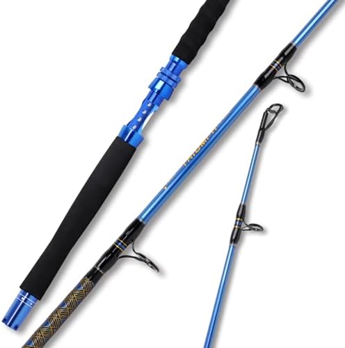 Fiblink Saltwater Graphite Jig Jigging Spinning Fishing Rod Deep Sea Jig Pole 5'6"/6' by Fiblink