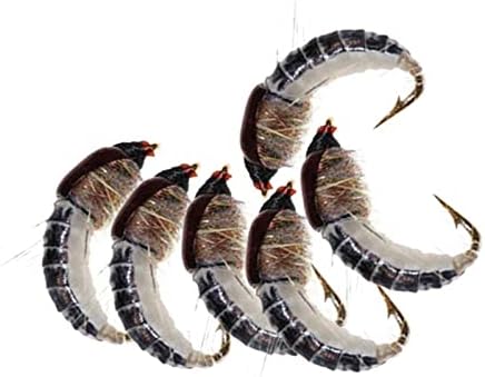 24Pcs Fly Fishing Flies Trout Lures Fishing Tackle Fly Fishing Flies with Boxed Trout Bass Artificial Fish Bait - Image 4