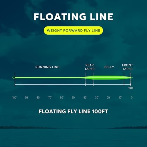 SF Fly Fishing Line Weight Forward Floating Fly Line for Fly Fishing 3wt 4wt 5wt 6wt 7wt 8wt 100FT Double Welded Loops - Image 3