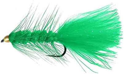 10Pcs Wooly Bugger Fly Fishing Flies for Trout, Bass and Salmon-Streamer Assortment Wet Flies - Image 3