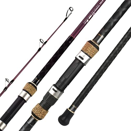 Berrypro Surf Spinning & Casting Fishing Rod Carbon Travel Fishing Rod by BERRYPRO