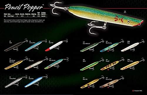 Cotton Cordell Pencil Popper Topwater Fishing Lure - Image 4