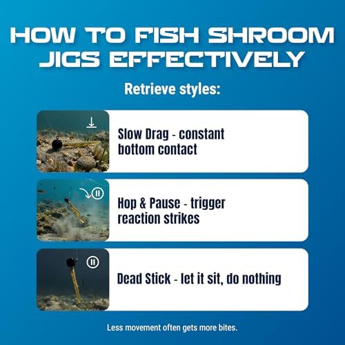 Reaction Tackle Mushroom Jig Heads for Ned Rig Finesse Bass Fishing, Stand-Up Design with Standard and EWG Hook Options (25-Pack) - Image 6