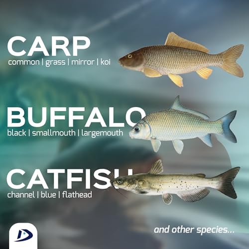 Ready-to-Go Complete Carp Rig - Spring Feeder with a Spike | Carp, Buffalo, Catfish | for Boilies and Pop-Ups - Image 5