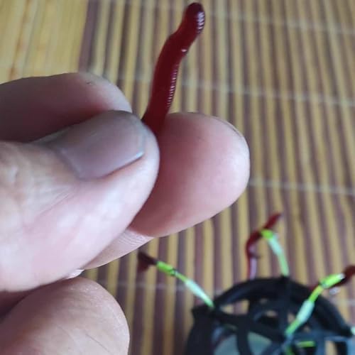 Soft Plastic Red Worm Baits, Scented Artificial Fishing Lures for Freshwater, Reusable Silicone Red Worms for Bass, Trout, and More - Image 6