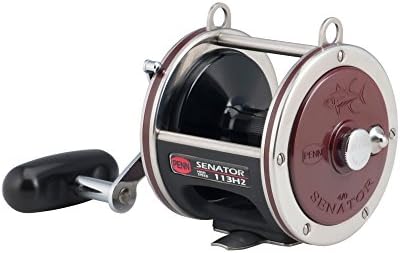 Penn Special Senator Star Drag Conventional Fishing Reel - Image 2