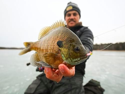Northland Tackle Rigged Tungsten Pin Fry Ice Fishing Jig with Minnow Fry Body, 2 Pre-Rigged Jig Heads & 3 Extra Ice Fishing Plastics, Tungsten Jig Heads for Panfish, 1/28 Oz, Glo White - Image 3