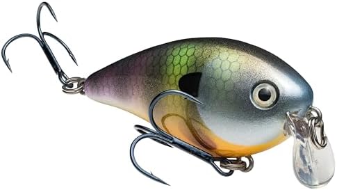 Strike King KVD 1.5 Shallow Square Bill Crankbait by StrikeKing
