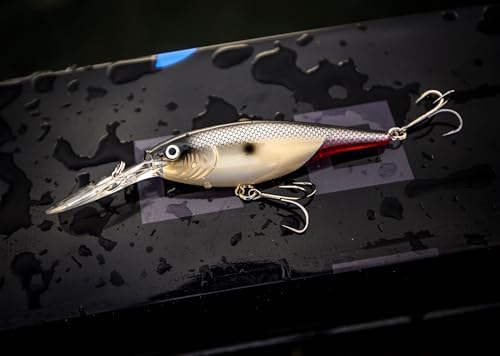 Berkley Flicker Shad Fishing Lure, Rainbow Trout, 5/16 oz, 2 3/4in | 7cm Crankbaits, Size, Profile and Dive Depth Imitates Real Shad, Equipped with Fusion19 Hook - Image 6