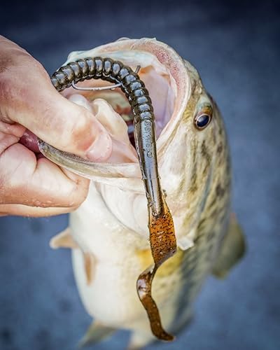 Berkley PowerBait Power Worms Fishing Soft Bait - Image 2