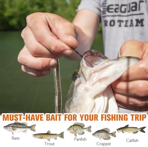 Dovesun Wacky Worm for Bass Trout Fishing Worms Kit with Soft Plastic Baits, Weedless Hooks, Bass Hooks,Weedless Jig Head, Wacky Rig Tool, O-Rings, Weight 152Pcs/131Pcs/50Pcs - Image 6
