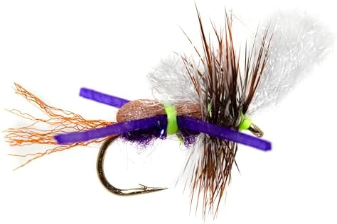 Outdoor Planet 12/24 Fly Fishing Flies Kit Fly Assortment, Dry Flies Wet Flies Streamers Nymphs Flies, Fly Fishing Assortment Kit for Bass Trout Salmon Fishing - Image 5