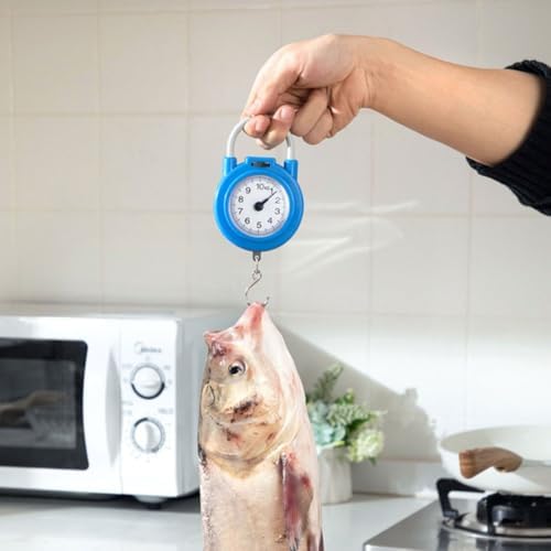 0.1KG Fishing Scale Portable Luggage Weighing Scale 10KG Digital - Image 3