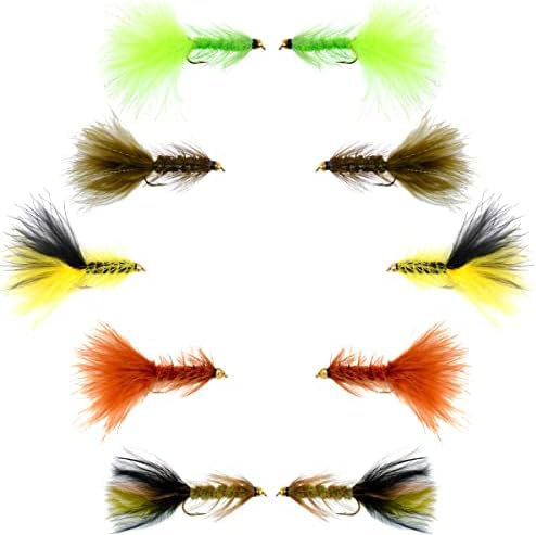 The Fly Fishing Place Basics Collection - Crystal Woolly Bugger Assortment - 10 Bead Head Wet Flies - 5 Patterns - Hook Size 8 by TheFlyFishingPlace