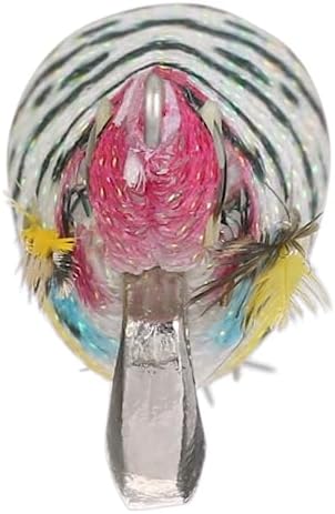 Shimano SEPHIA Clinch Flash Boost Egi (Squid Jig) Fishing - Image 3