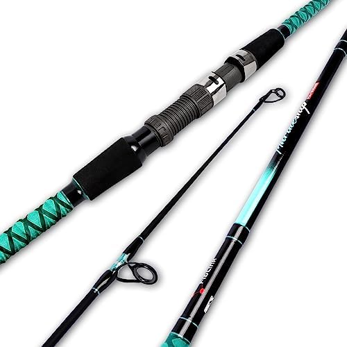 Fiblink Surf Fishing Rod Portable Travel Surf Spinning Rod 2 Piece/3 Piece/4 Piece Carbon Fiber Saltwater Fishing Rod 9'/10'/12'/13'/15' by Fiblink