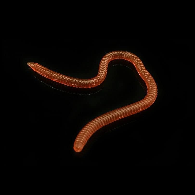 20pcs Bass Fishing Worms - Soft Plastic Baits & Lures for Fresh Water Fishing - Image 3
