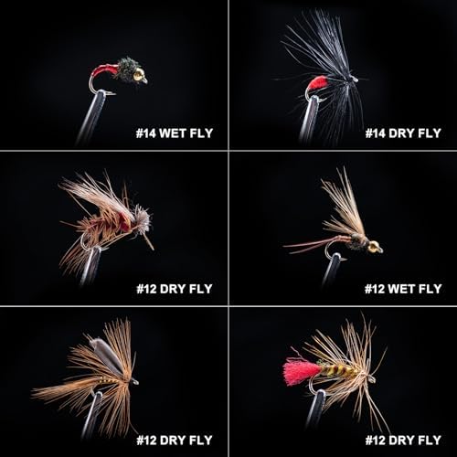 Goture 30pcs Fly Fishing Flies Kit Dry Wet Nymphs Assortment for Trout Bass - Image 2