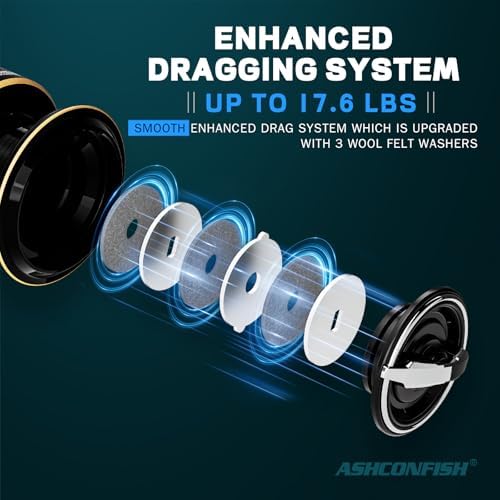 Ashconfish DF Series Spinning Reel Saltwater & Freshwater Fishing Reel, Lightweight Nylon/Fiberglass Frame, 7+1BB, 5.2:1 Gear Ratio,Long-Distance Casting DF - Image 5