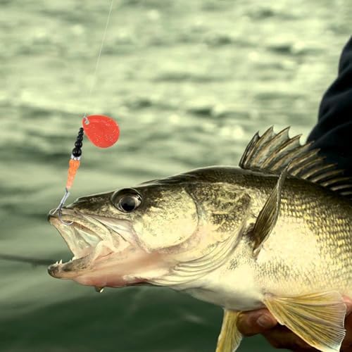 Alwonder 5PCS Walleye Rigs Wedding Ring Fishing Lures, Colorado Blades Stacked Fishing Beads Octopus Hooks Pre-Rigged Bait Rig, Crawler Harness Walleye Kokanee Salmon Spinner Rigs Kit 46IN 30LB Mono - Image 6