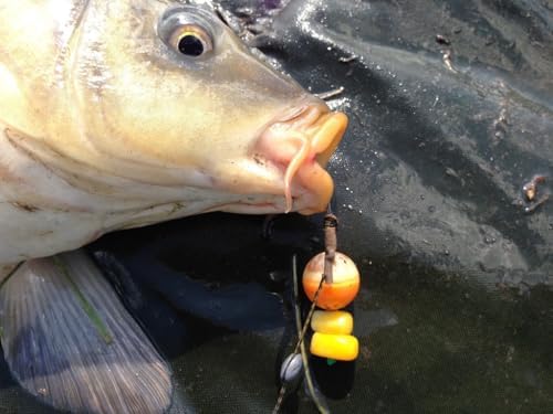 Karpela Natural Bait Delivery System (Set of 4) – Reusable Protective Shell for Soft Natural Baits – Protects Bait from Crawfish & Turtles - Image 5