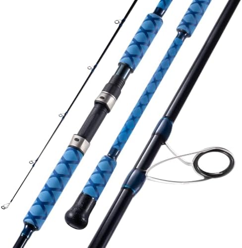 Surf Fishing Rod Carbon Surf Spinning Fishing Rod with Fuji Guide by TESAN
