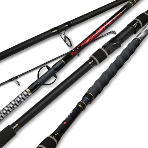 Fiblink Surf Fishing Rod 2 Piece/3 Piece Portable Travel Spinning Rod Saltwater Surf Rod (9'/10'/10'6"/12') by Fiblink