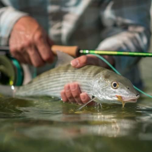 Redington VICE Fly Fishing Rod with Tube, Freshwater, Moderate Action Rod - Image 4
