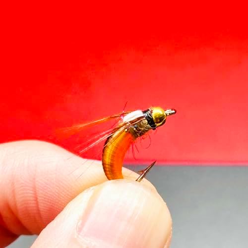 10Pc Wet Flies Bait Fly Fishing Flies for Bass Trout Pike Salmon Brass Head Caddis Nymph Handmade Fishing Bait Artificial Insect Fishing Lure - Image 5