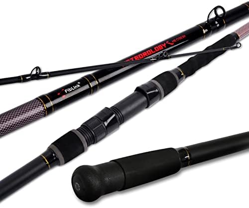 Fiblink Surf Fishing Rod 2 Piece/3 Piece/4 Piece Portable Travel Casting Rod Saltwater Surf Rod (9'/10'/12'/13') by Fiblink