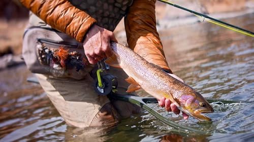 Scientific Anglers Absolute Fluorocarbon Trout Tippet - Image 3