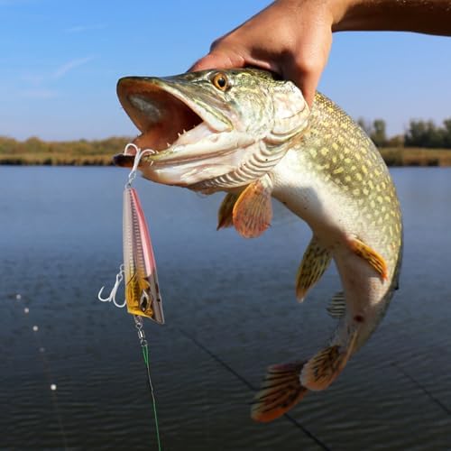 Alwonder Fishing Barrel Swivels, 40 to100-Pack Swivels Fishing Tackle Freshwater Saltwater Swivel Rolling Swivel Heavy Duty Stainless Steel Lures Leaders Line Connectors Terminal Tackle - Image 7