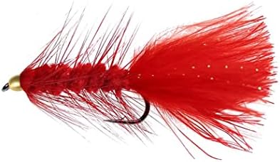 10Pcs Wooly Bugger Fly Fishing Flies for Trout, Bass and Salmon-Streamer Assortment Wet Flies - Image 3