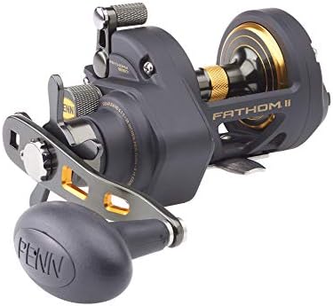 Penn Fathom II Star Drag Conventional Fishing Reel, Black Gold, 25N by Unknown