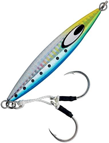 Daiwa Daiwa Saltiga Sk Jig by Daiwa